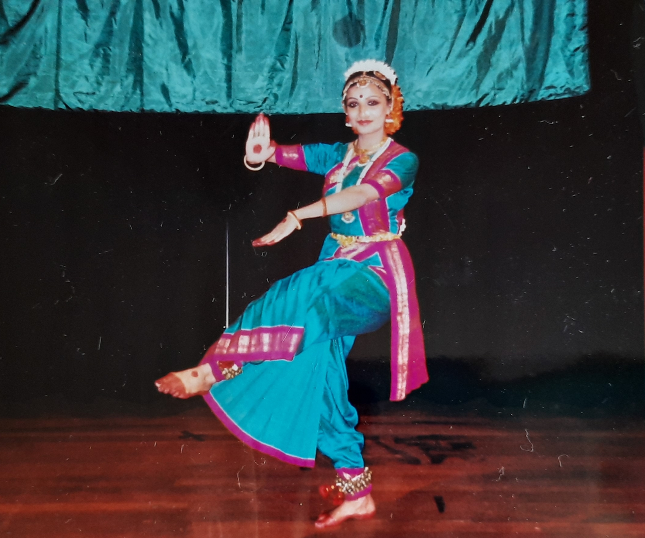 India Fest — Raleigh